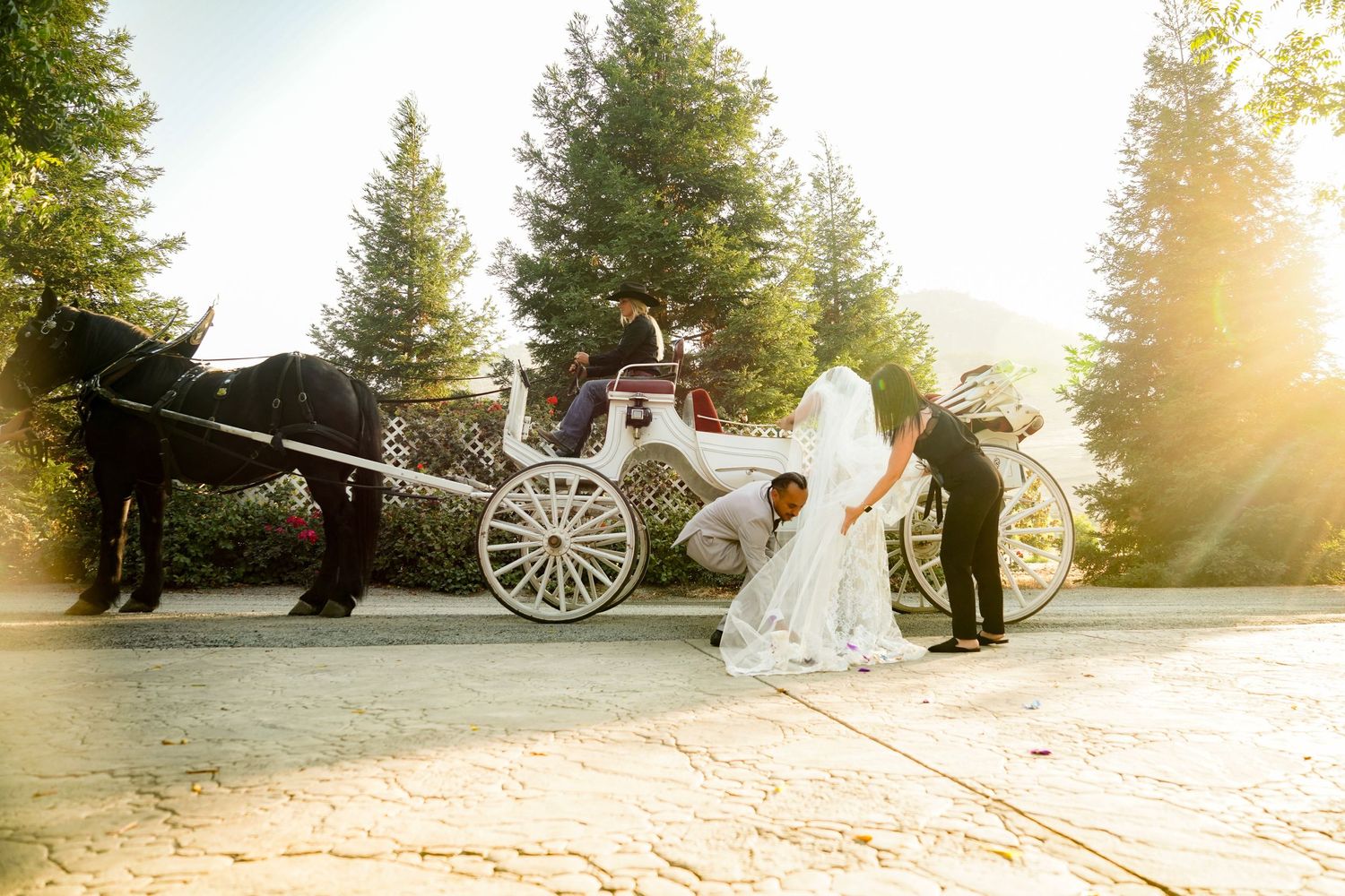 Johan Studio wedding gallery photo 62