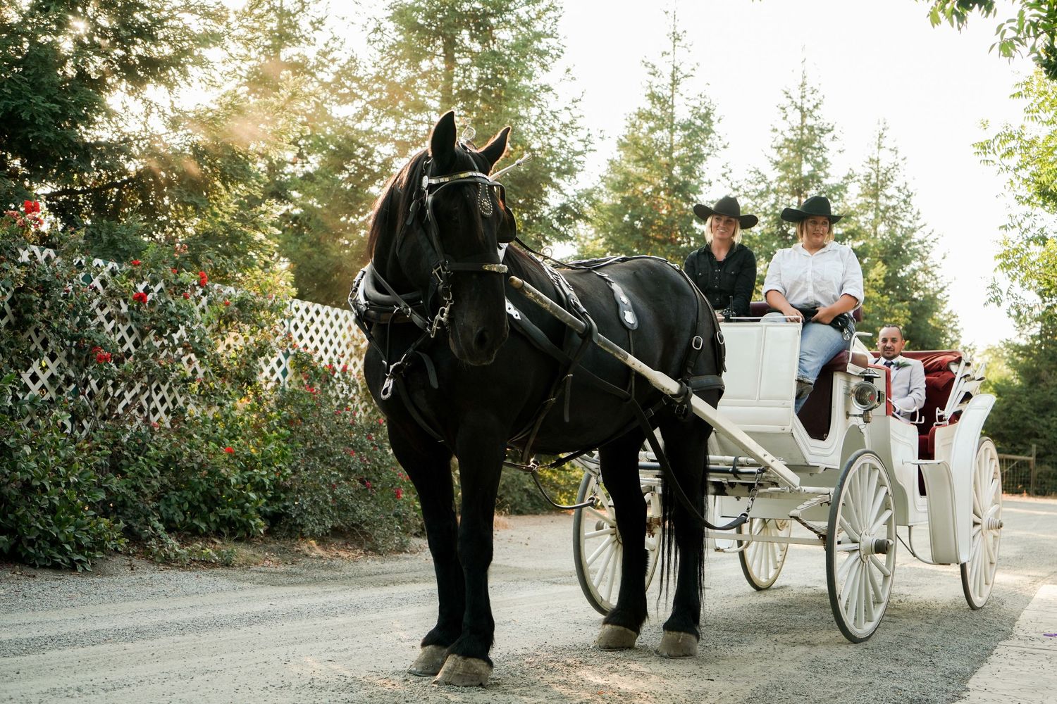 Johan Studio wedding gallery photo 65