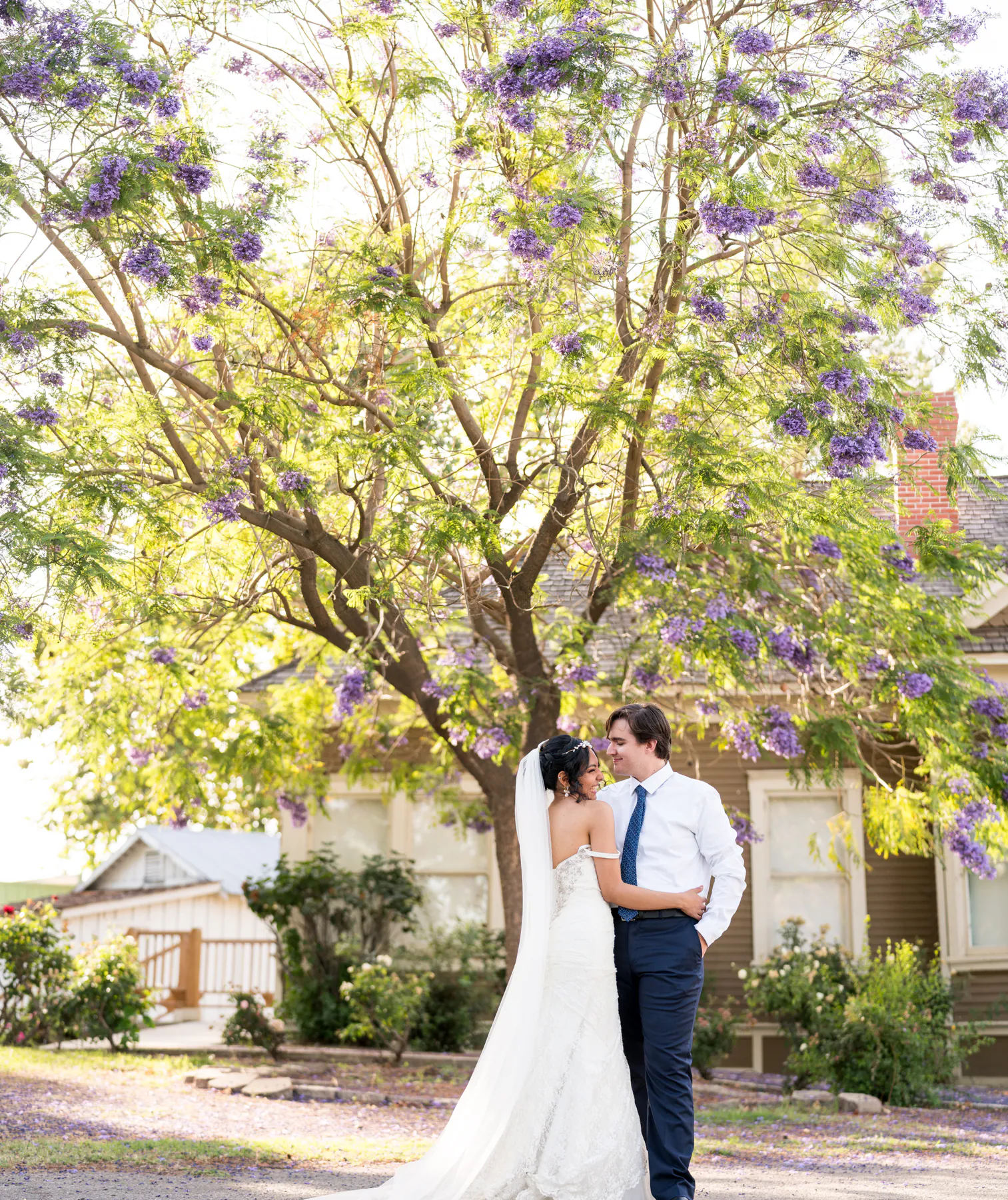 Johan Studio wedding gallery photo 201